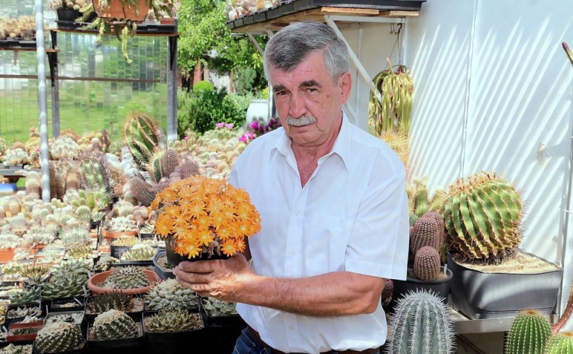 Heinz Barz im Teckboten: Auch ein Kaktus will gepflegt sein